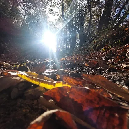 Prázdninový dům Casa Nayala Ruayer